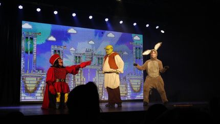 Tanto las luces como el sonido estarán adaptados a las necesidades del público.