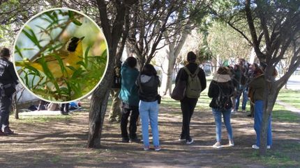 historico: en el finky, se registro por primera vez una nueva especie de ave en el pais historico: en el finky, se registro por primera vez una nueva especie de ave en el pais