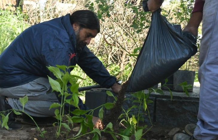 Jornada de forestación en la Plaza Steinberg de Lomas Centro.
