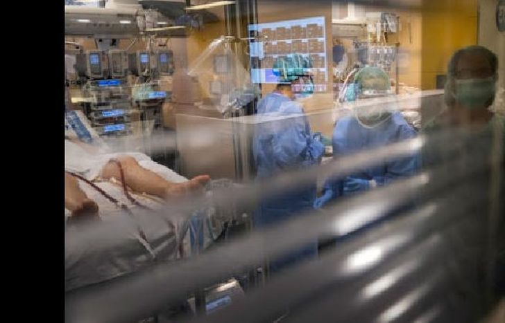 el total de los casos en el país desde el inicio del brote, 905 (22,6%) son importados.