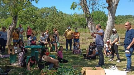 avanza el plan de forestacion para que lomas este mas verde
