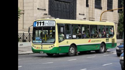 colectivo
