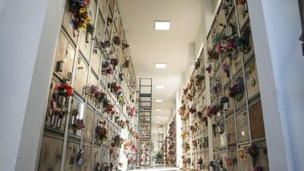 Hubo reparación de luminarias, pintura, herrería y señalización.