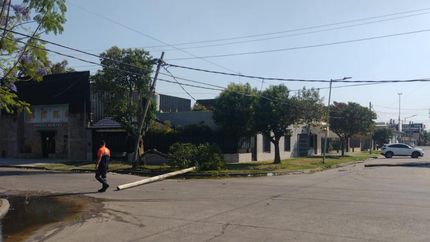 Uno de los postes cayó sobre un árbol y otro quedó peligrosamente inclinado. Uno de los postes cayó sobre un árbol y otro quedó peligrosamente inclinado.