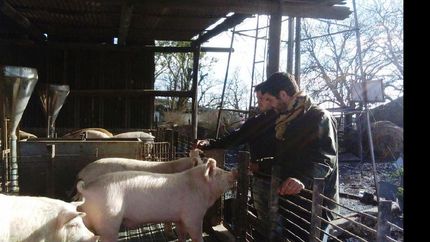 ofrecen creditos a productores rurales