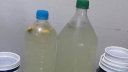 Necesitan limones para llevar bebidas frescas.