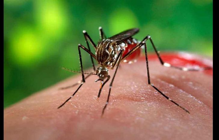 El paciente comenzó con síntomas el día 14 de enero.