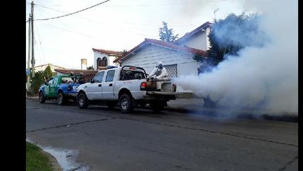 Cómo combaten el dengue en los barrios de Lomas