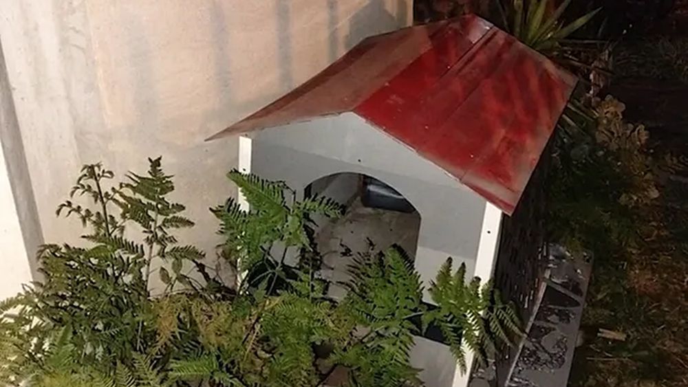 La cucha en la que se escondió el delincuente. La cucha en la que se escondió el delincuente.
