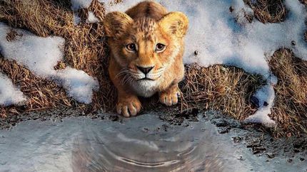 Mufasa, lo nuevo de El Rey León.