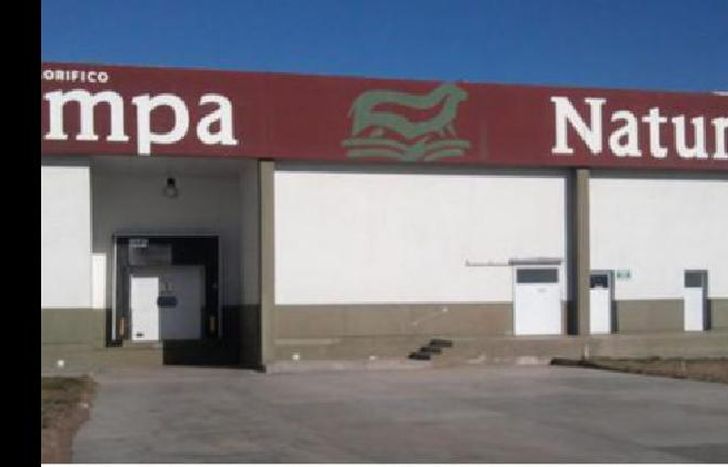 saquearon el lugar unas 50 personas.