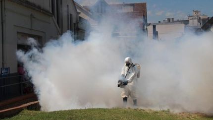 Cubren calles y espacios públicos.