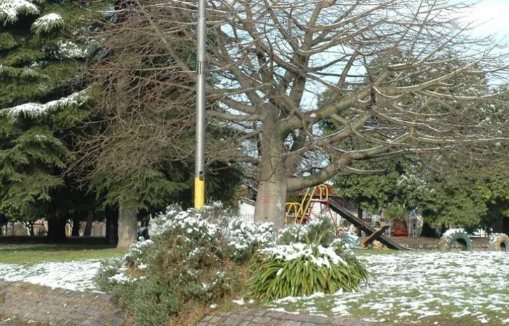 La Plaza Libertad, cubierta de nieve. Una postal histórica del 2007.
