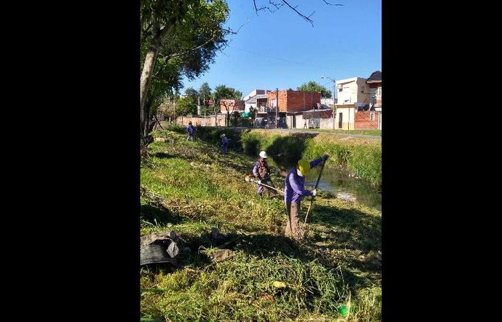 Las cuadrillas aportan la precisión en la limpieza.