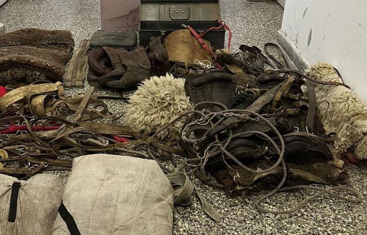 Parte del material incautado por la Policía en Lomas.