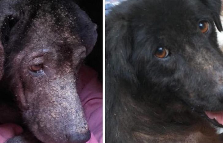 El antes y el después de Dulce que salió adelante.