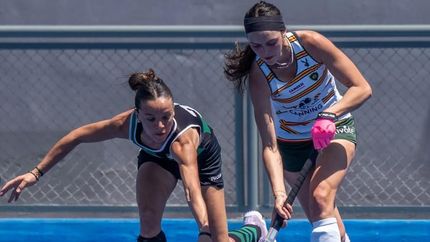 Ovejero, citada a las Leonas.