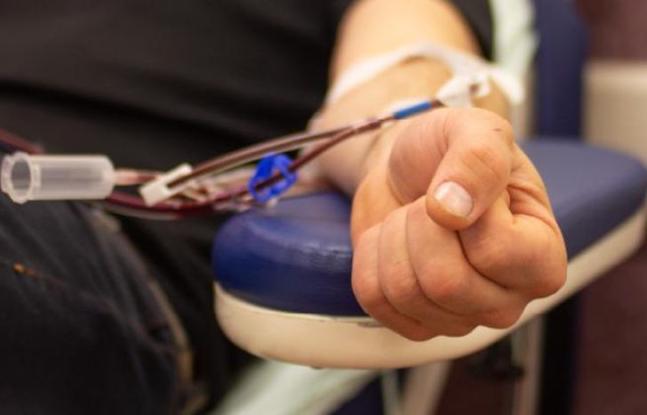 Ya se puede sacar turno para colaborar en la jornada.