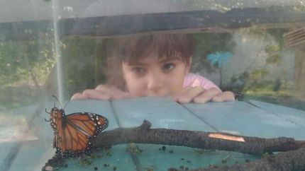 Muriel hace reflexionar sobre el poder de la naturaleza.