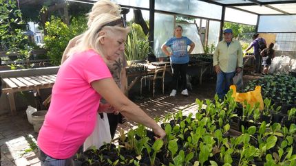 Vecinos de Lomas ya pueden sumarse a las actividades ambientales de marzo.