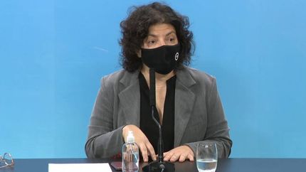 Vizzotti advirtió sobre una tendencia al aumento.