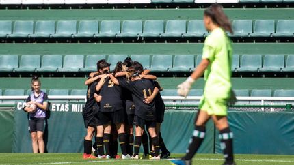 Banfield pasó las semifinales y espera rival.