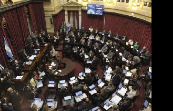 Vista parcial del recinto de la Camara de Senadores durante la sesion donde se debate la reforma del Codigo Procesal Penal en el Congreso Nacional, en Buenos Aires, el 19 de noviembre de 2014.  (ALEJANDRO PAGNI / PRENSA SENADO)