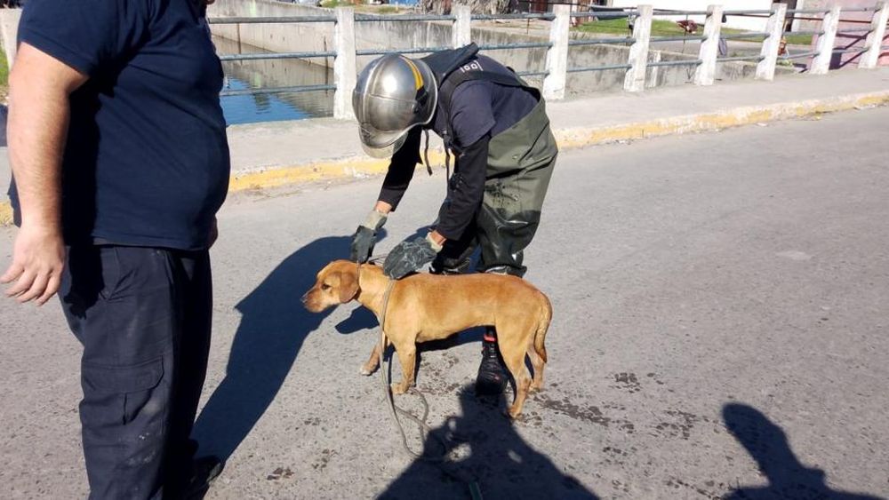 El momento del rescate.