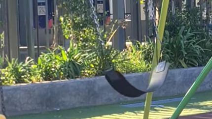 El video impactó a los vecinos.