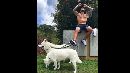 a maluma le tiraron los perros