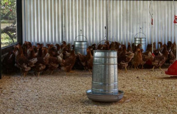 En el lugar hay prácticas profesionales de estudiantes.