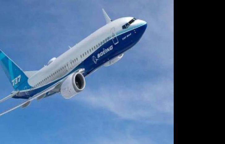 aerolíneas argentinas aseguró que sus vuelos fueron seguros.