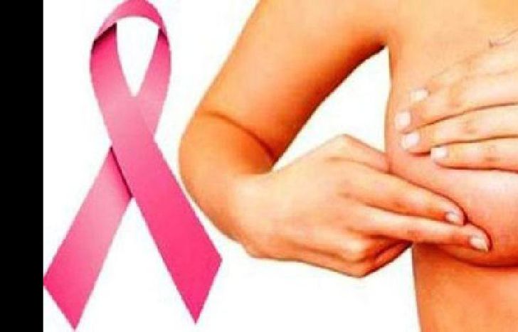 Durante el año realizarán campañas gratuitas.