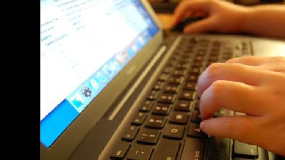 Lanzarán una plataforma online para seguir la plantación de un millón de árboles