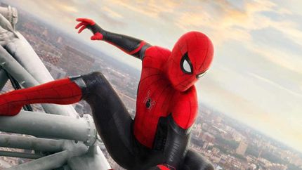 Para los fans de la saga.