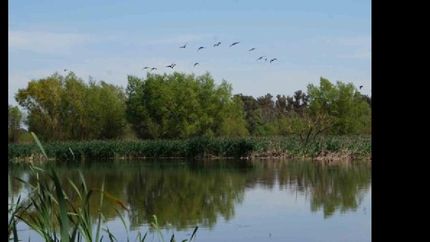 denuncian que el comite de gestion de la laguna de rocha no se reune desde hace seis meses