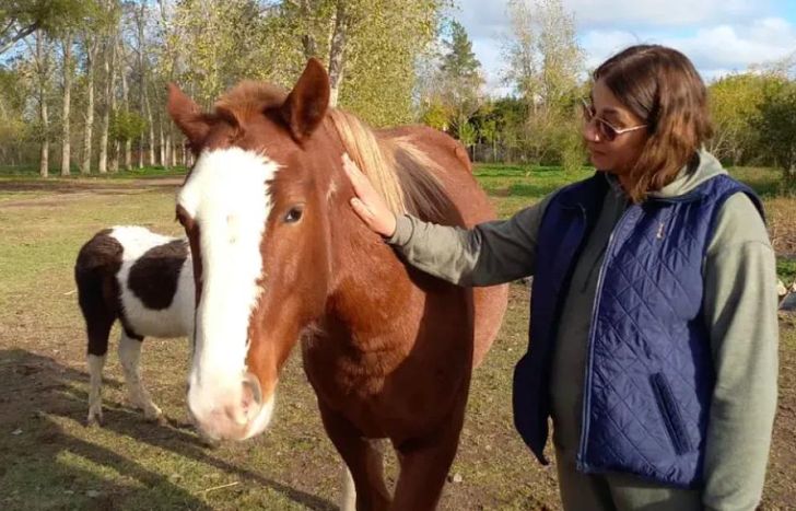 La ONG está disponible para visitar las escuelas de Lomas.