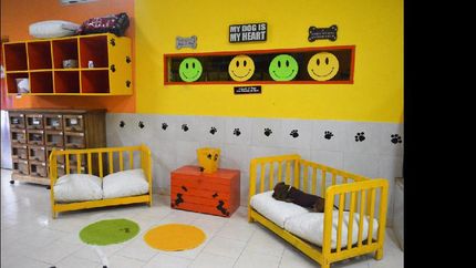 Más comodidades para los seres de cuatro patas.