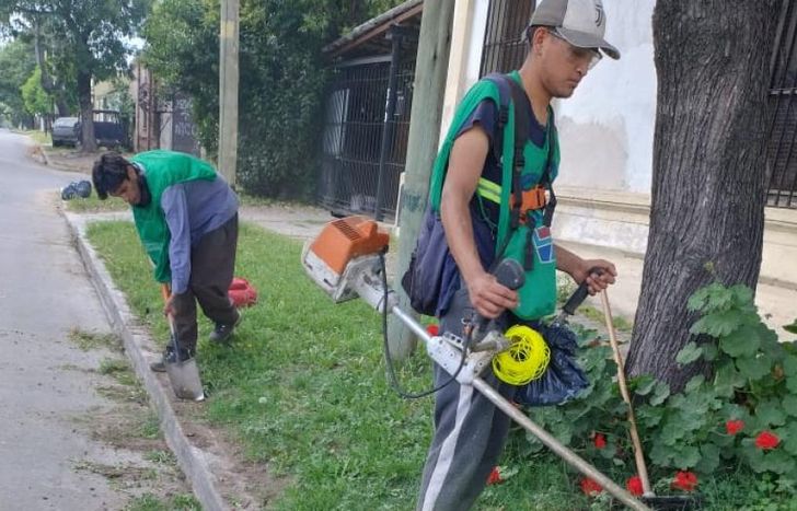 El corte de césped es prioridad con la llegada del calor.