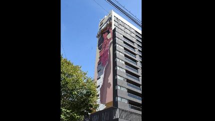 galeria de fotos: un edificio banfileno lucira un mural del reconocido artista martin ron