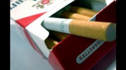 cigarrillos