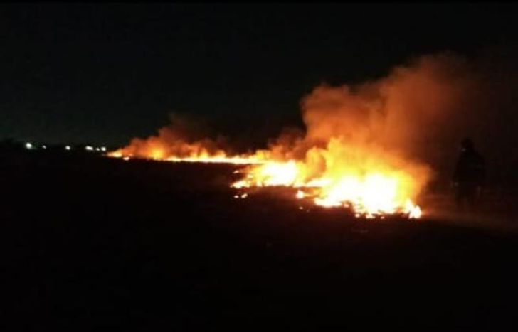 Se trabajó cuatro horas en el lugar.