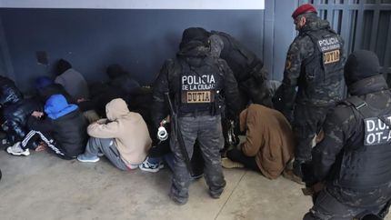 Detuvieron a 33 integrantes de la banda.