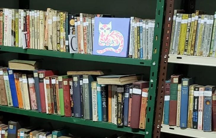 Se podrá visitar la biblioteca privada de la Casa de la Cultura.