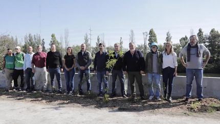 Plantaron más 300 árboles nativos para crear un corredor multiespecie.