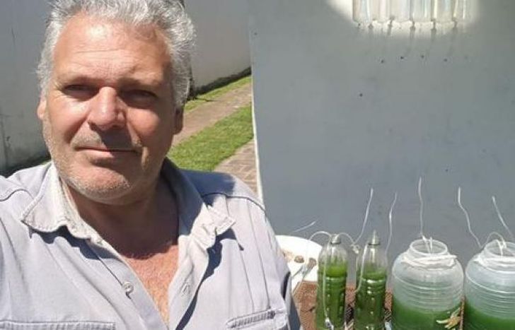 El proyecto de algas comestibles avanza a pasos agigantados.