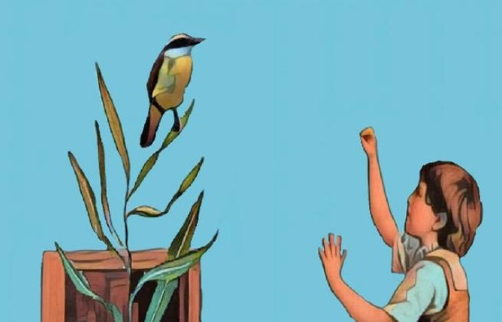 La imagen que ilustra.