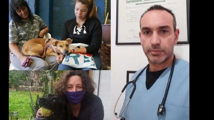 Los veterinarios, esenciales para brindar amor y cuidado a los animales