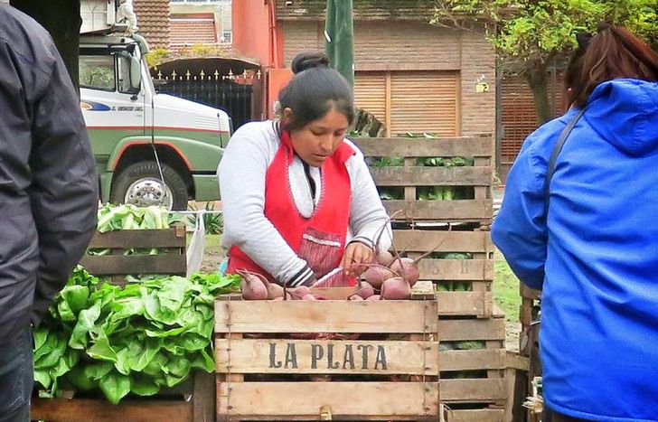 Los vecinos podrán aprovechar a comprar verduras sin agrotóxicos.