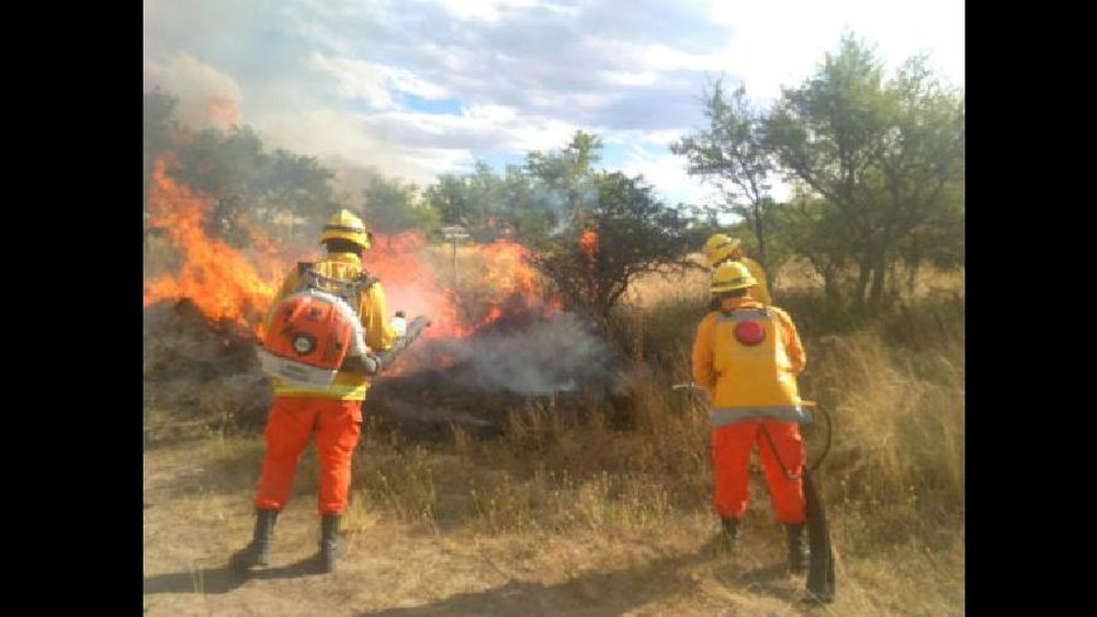 La Pampa: aún hay dos focos de incendios forestales activos